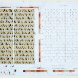 Study IV for Written Word, acrylic, pencil and ink on graph paper, 40.0 x 59.0cm (paper size), 5 September 2017. Photography: Michele Brouet.